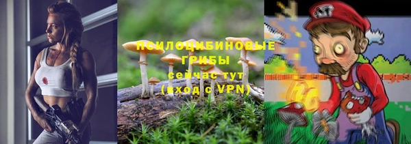 хмурый Волосово