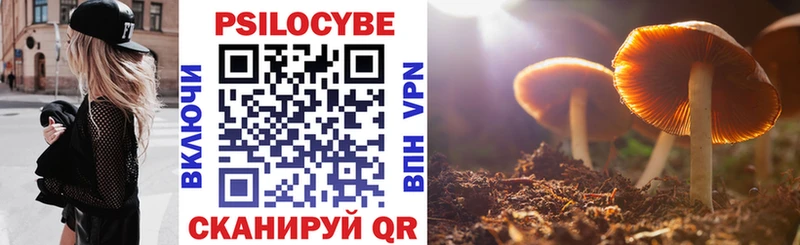 Галлюциногенные грибы Psilocybe  Оренбург 